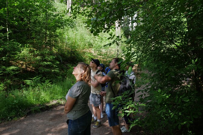 3 in 1 Tour Brewery & Castle in Bohemian Paradise Unesco Geopark - Prachov Rocks: The Sandstone Maze Hike You’ll Actually Remember