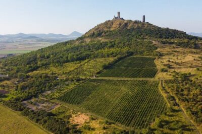 A delightful wine tasting in the scenic countryside with lunch - Bohemian Uplands Scenery Stops You’ll Actually Enjoy