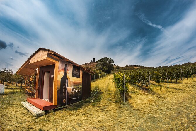 A delightful wine tasting in the scenic countryside with lunch - Small-Group Day Trips: How the Size Changes Everything