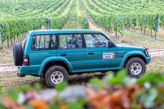 A delightful wine tasting in the scenic countryside with lunch - Comfort Tips for the Right Pace (and the Right Expectations)