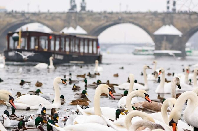 Charles Bridge: River Boat Cruise & Guided Tour ️with PragueWay - Charles Bridge: what you learn on the way (not just on it)