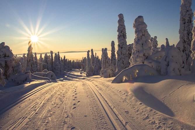 Cross-Country Skiing Guided Tour From Prague - The early 7:30am start: Prague pickup that keeps the day moving