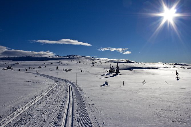 Cross-Country Skiing Guided Tour From Prague - Five hours on snow: groomed routes, forests, and a lake crossing feel