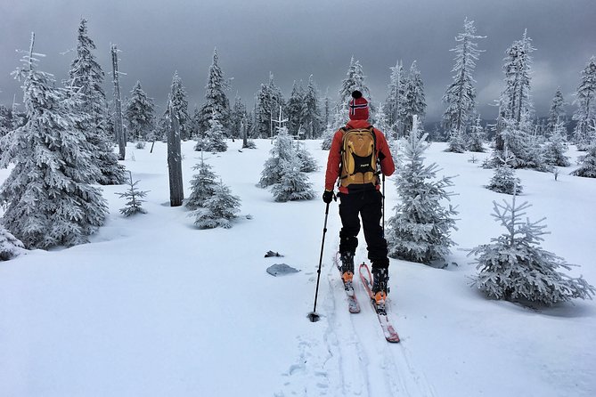Cross-Country Skiing Guided Tour From Prague - Should you book this cross-country skiing tour from Prague?