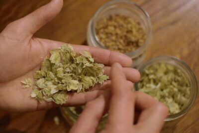 Czech Beer Tasting Experience - Seven Czech beers: variety you can actually compare