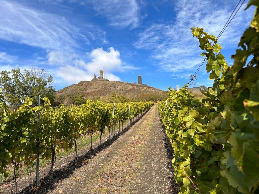 Czech Vineyards and Wine Tasting 4WD Tour with Lunch - Who this 4WD wine and castles day is best for