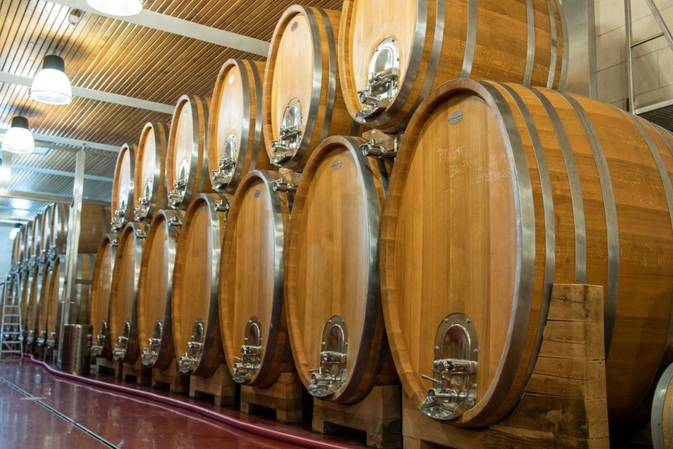 Czech Vineyards and Wine Tasting 4WD Tour with Lunch - What the cellar master experience means for your tasting