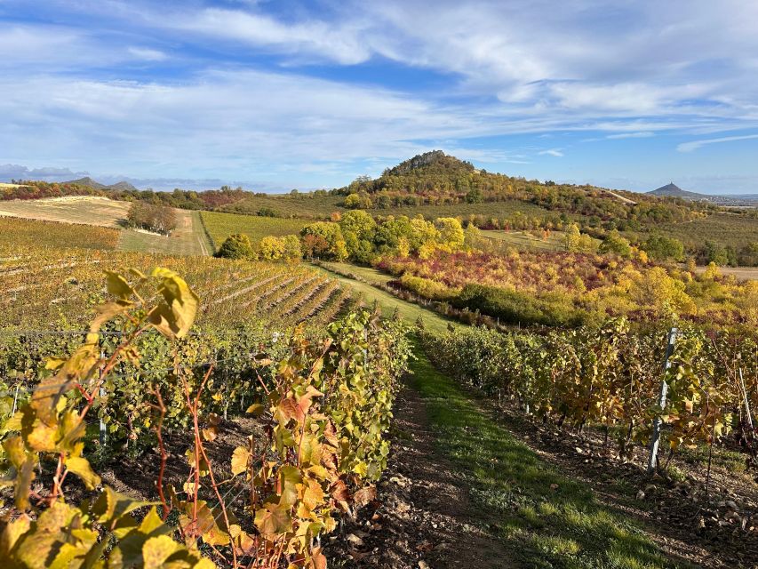 Czech Vineyards and Wine Tasting 4WD Tour with Lunch - Guides and the small-group advantage (max 6)