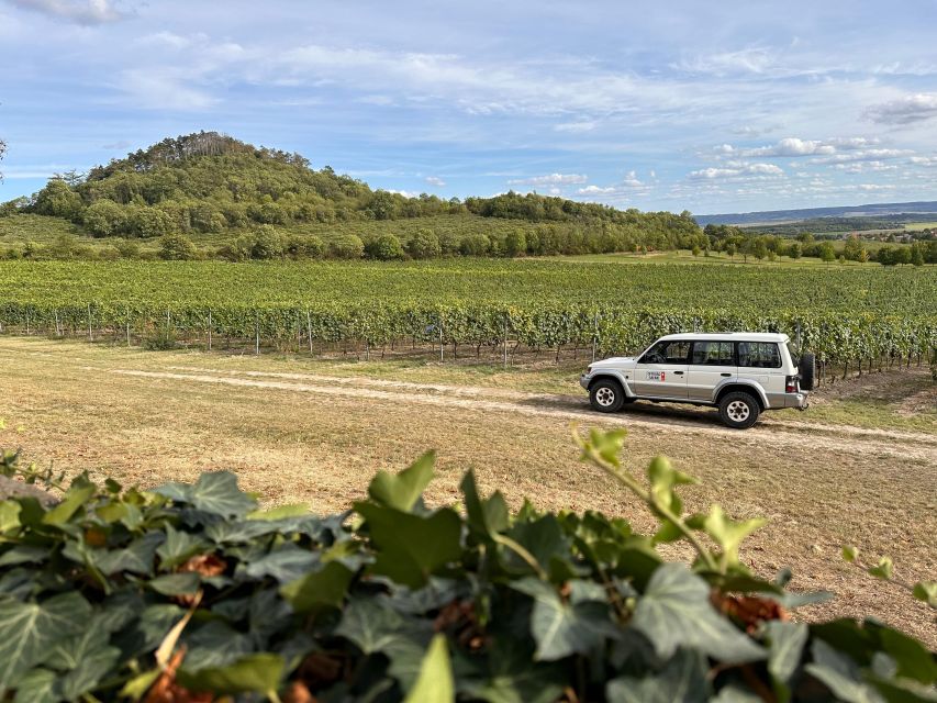Czech Vineyards and Wine Tasting 4WD Tour with Lunch - Price and value at $387 per person