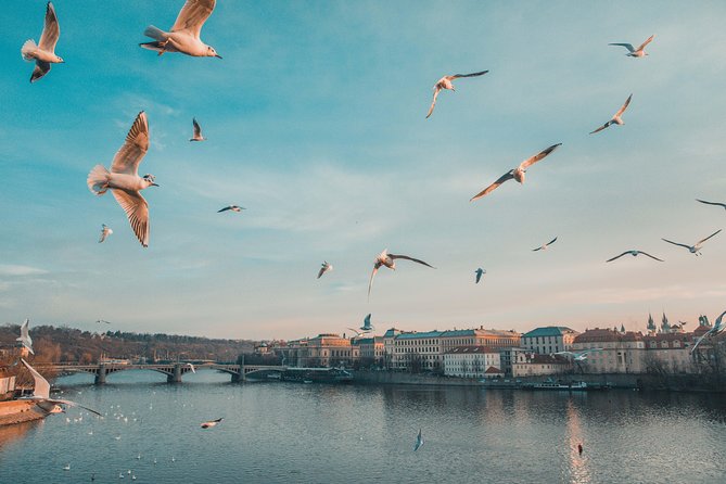 Discover Prague’s most Photogenic Spots with a Local - A 90-Minute Photo Walk That Gets You Out of Auto-Pilot