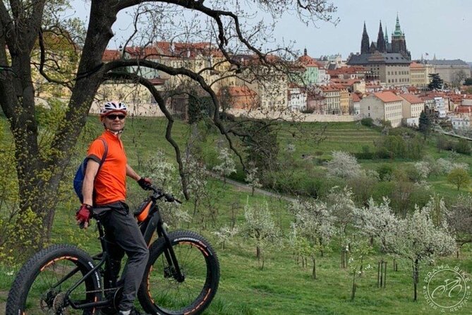 FAT TIRE E-BIKE GREAT TOUR - river, parks & panoramic views tour - The Ride Pace: Relaxed, Photo-Friendly, and Built for Mixed Skill Levels