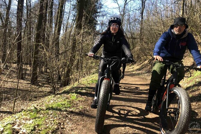 FAT TIRE E-BIKE GREAT TOUR - river, parks & panoramic views tour - Stop-by-Stop: Letná Views to Prague Castle Gates