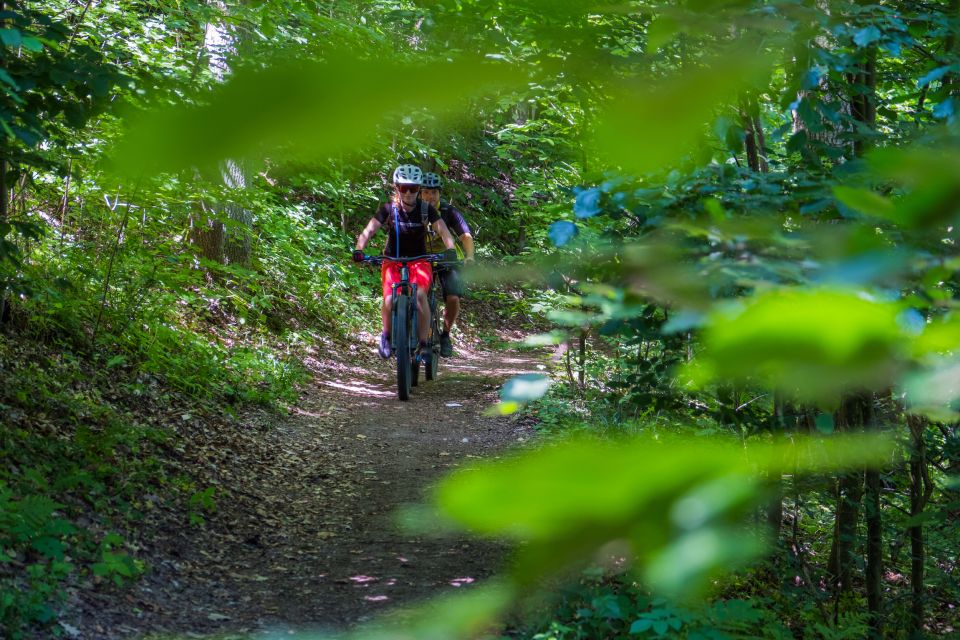 From Prague: E-Mountain Biking Trip to the Bohemian Paradise - Hruboskalsko Rock Town: the ridgeline doubletrack wow factor