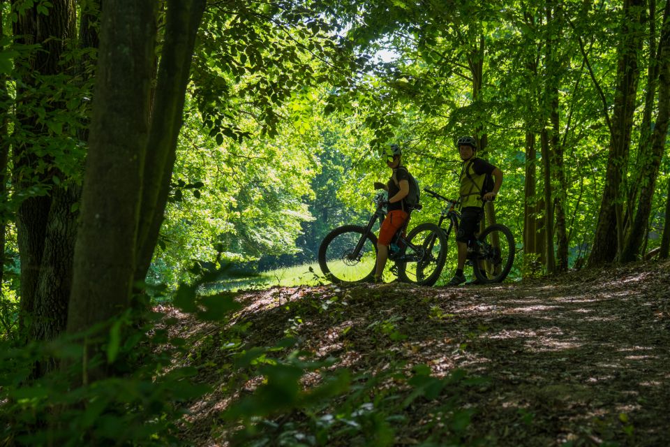 From Prague: E-Mountain Biking Trip to the Bohemian Paradise - Kingdom Come: Deliverance 2 fans get an extra layer