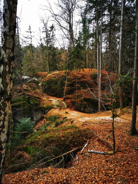 From Prague: Full-Day Bohemian Paradise Guided Hiking Trip - A Bohemian Paradise hike that feels like a day trip, not a production