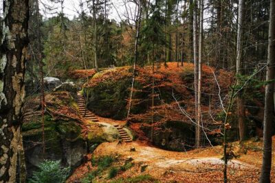 Full-Day Hiking in Bohemian Paradise: Hrubá Skála near Prague - The core walk: Hrubá Skála and the Rock City vibe