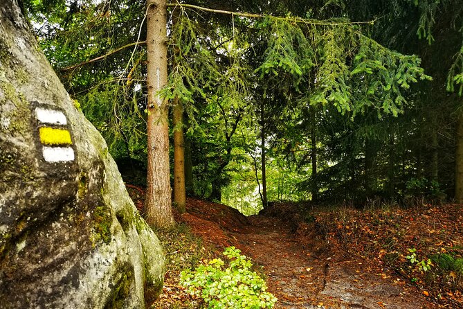 Full-Day Hiking in Bohemian Paradise Malá Skála near Prague - Zbirohy Castle Ruins: A Short Stop With Real Atmosphere