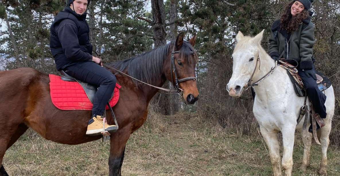 Horseback riding tour near Prague - Bitless and led on a rope: what that means for you