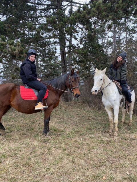 Horseback riding tour near Prague - Price and value: what $92 buys near Prague