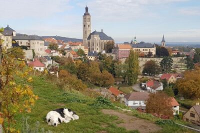 Kutná Hora and Bone church - private tour with PERSONAL PRAGUE GUIDE - Entering the Cemetery Church of All Saints: what to expect at the Bone Church