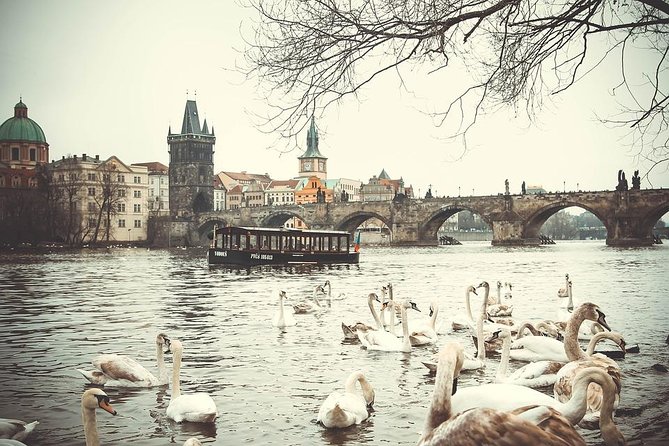 Magical Prague Private Half-Day Tour - Why This Private Half-Day Tour Works in Prague