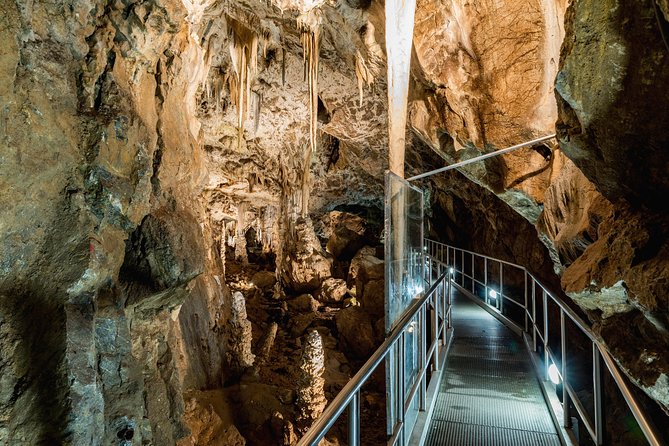 Moravian Carst And Brno Private Tour From Prague - Price and logistics: what you’re really paying for