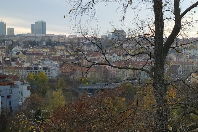 Non-touristy Prague - Cozy Neighborhoods - Private Tour - Palacký Area to Folimanka Park: A Valley Moment with Fortification Walls