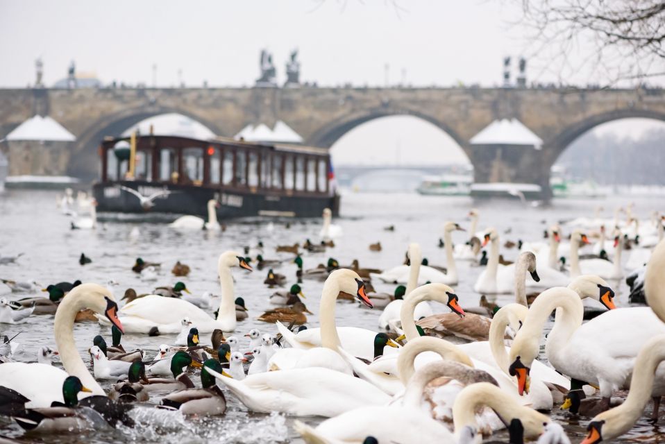 Prague: 1.5-Hour River Boat Cruise and Guided Tour - Getting oriented fast: Mostecká 4 and the pre-boat walk