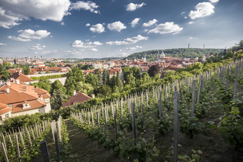 Prague: 3–Hour Castle Grounds Walking Tour and River Cruise - Meeting at Týn Church and getting oriented fast