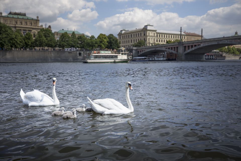 Prague: 3–Hour Castle Grounds Walking Tour and River Cruise - St. Vitus Cathedral and St. George Basilica: major stops with cultural payoff