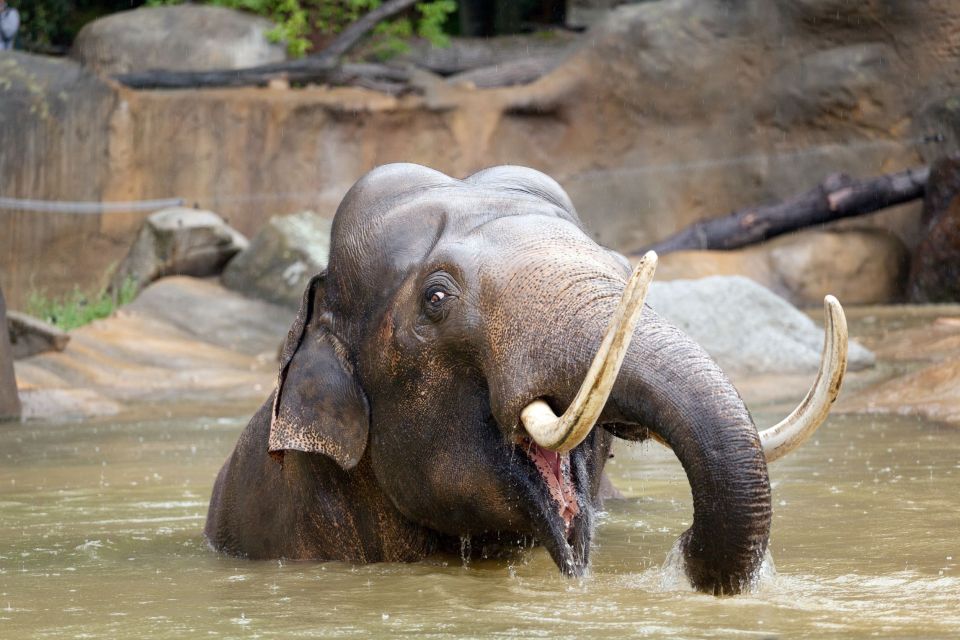 Prague: Boat Ride to the Zoo and Admission Ticket - Price and value: is $74 worth it?