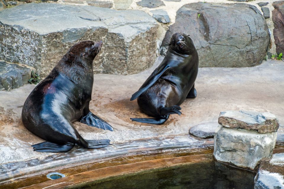 Prague: Boat Ride to the Zoo and Admission Ticket - The real draw: river views plus a zoo you can actually enjoy