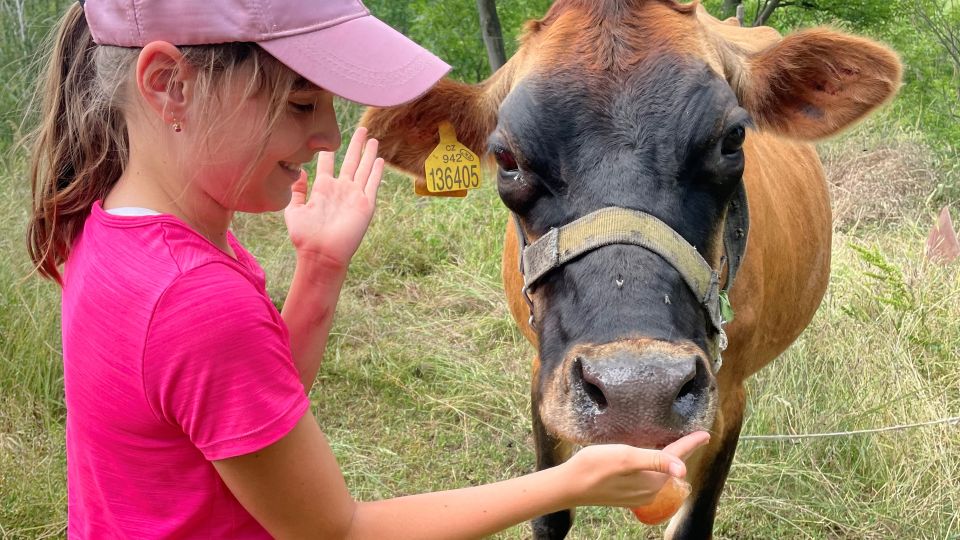Prague: Bohemian Uplands Garnet Panning&Animal Farm 4WD Tour - Practical tips so your day runs smoothly