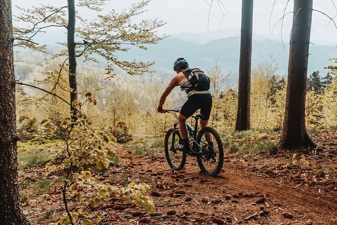 Prague E-Mountain Biking Adventure In The Bohemian Paradise - Price value: $155.18 for a full day that feels like an experience