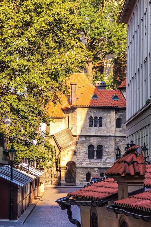 Prague: Jewish Quarter Half-Day Private Walking Tour - Why the Judaica collection angle changes the whole tour