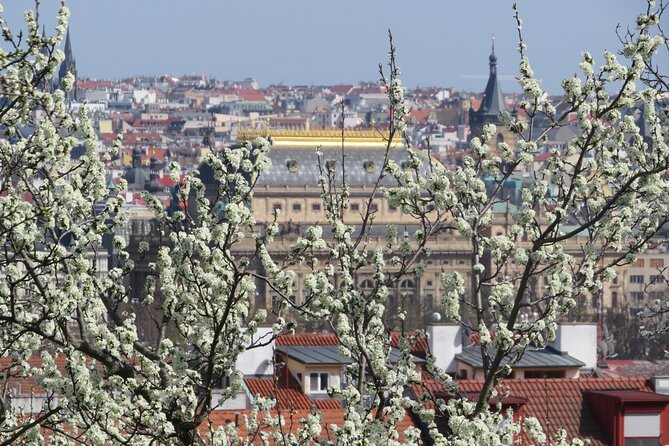 Prague Literary & Historical Tours - Literature Route - Starting at Mariánské náměstí, then stepping out of the tourist grid