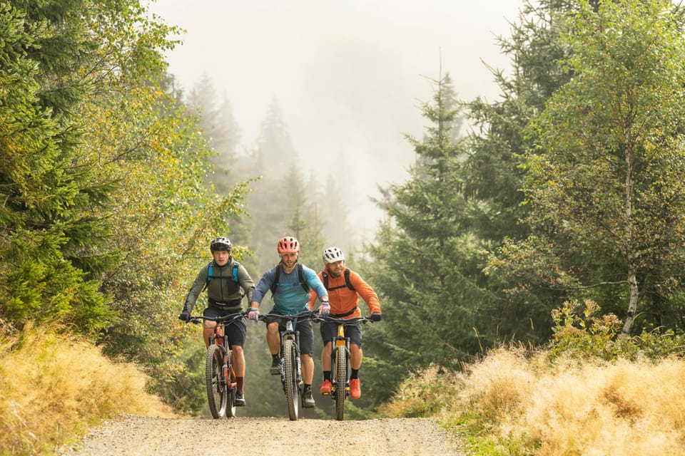 Prague Mountain Biking: Blast Through The Best Singletracks - The singletrack day: forests, meadows, and Berounka River views