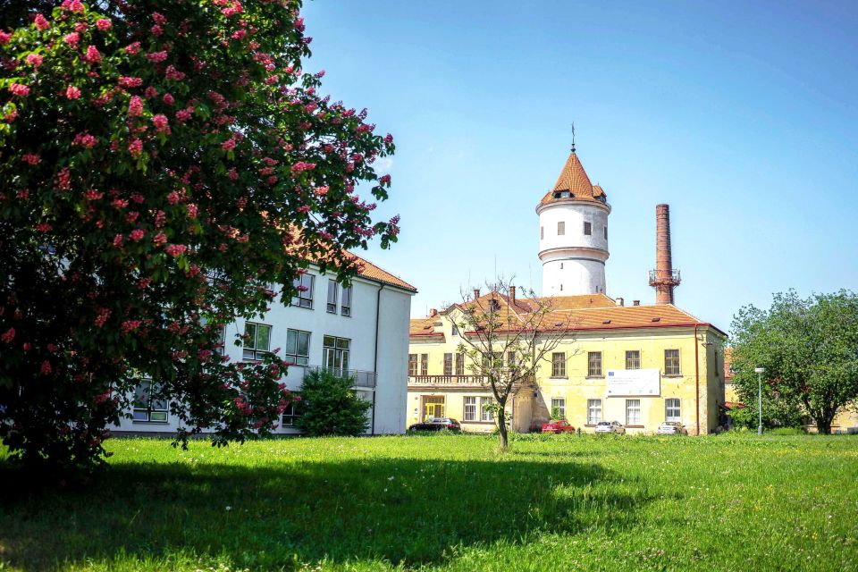 Prague: Psychiatric Hospital and Abandoned Cemetery Tour - Stepping into Bohnice, Prague’s psychiatric hospital on the edge of town