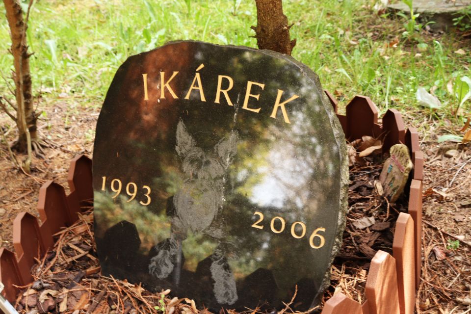 Prague: Psychiatric Hospital and Abandoned Cemetery Tour - Price and value: $32 for 3 hours of real, specific history