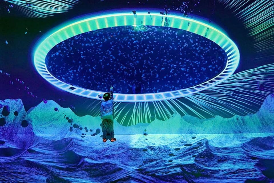 Prague: The World Of Jellyfish Entry Ticket w/ Drink - Key things you’ll notice right away