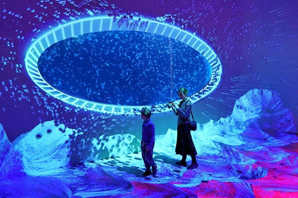 Prague: The World Of Jellyfish Entry Ticket w/ Drink - Price and Value: Is $16 a Fair Deal?