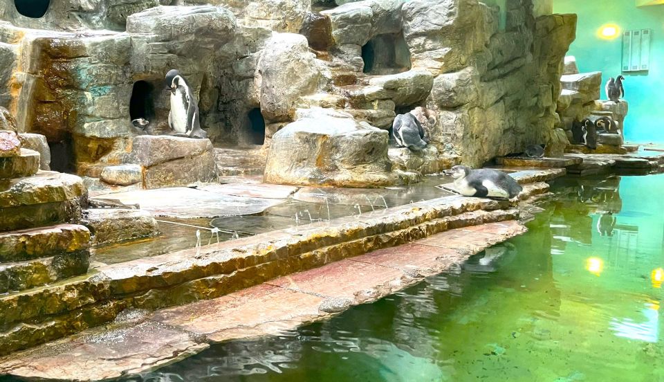 Prague Zoo Online Audio Guide (No ticket) - Key things that make this audio guide useful