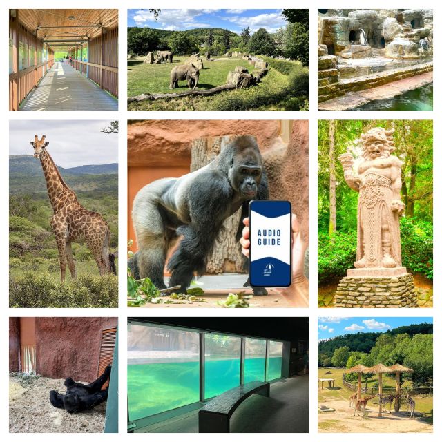 Prague Zoo Online Audio Guide (No ticket) - Prague Zoo, guided by your phone (without the pressure of a group)