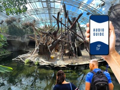 Prague Zoo Online Audio Guide (No ticket) - What you get: audio, maps, and a start point that’s easy to find