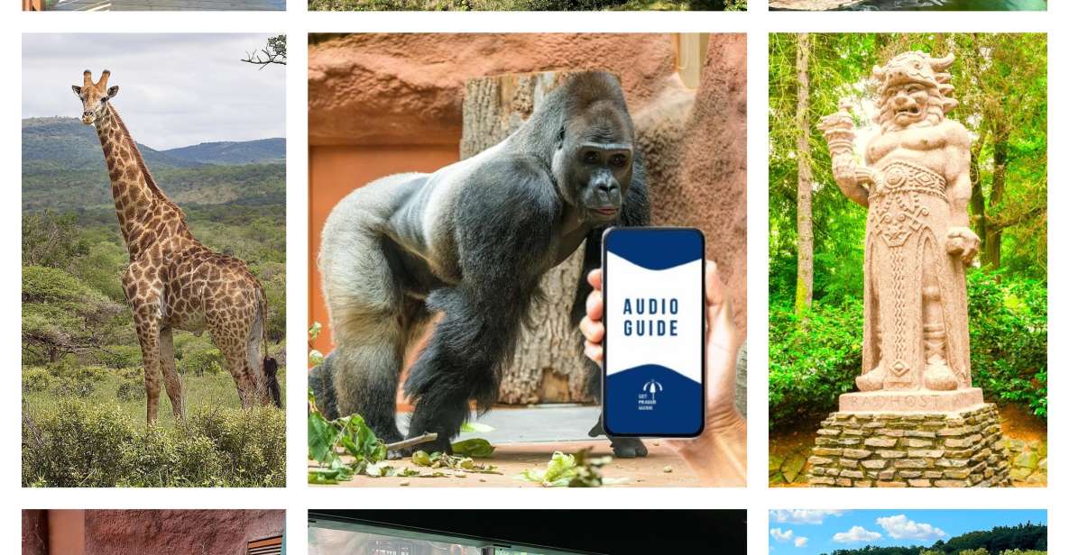 Prague Zoo Online Audio Guide (No ticket) - Audio topics you’ll hear: history, setbacks, and perseverance
