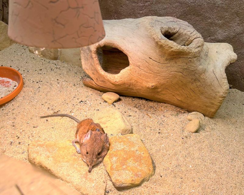 Prague Zoo Online Audio Guide (No ticket) - Price and value: $5 for the guide, ticket is extra