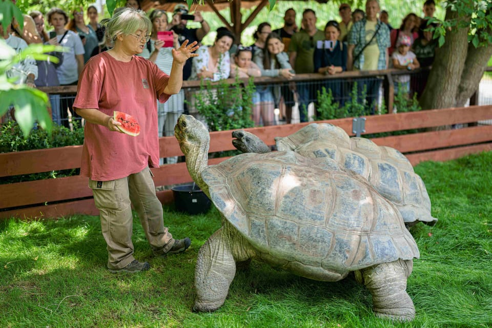 Prague Zoo: Skip-the-Line Entry Ticket - Key highlights to look for