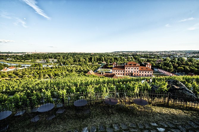 Prague´s Hidden Vineyards Private Tour - Hotel Pickup and the Welcome Sip in a Residential Vineyard Area