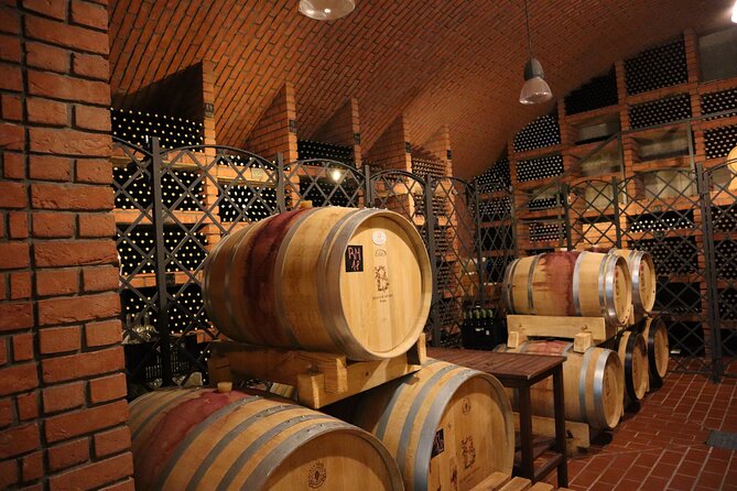 Prague´s Hidden Vineyards Private Tour - Botanical Garden Vineyard Cellar: The Winemaker Explanation You Can’t Copy