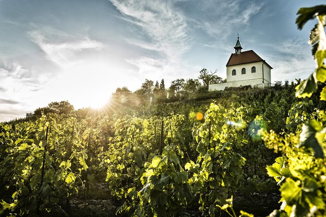 Prague´s Hidden Vineyards Private Tour - Why the Private Format Makes This Tour Feel Different in Prague
